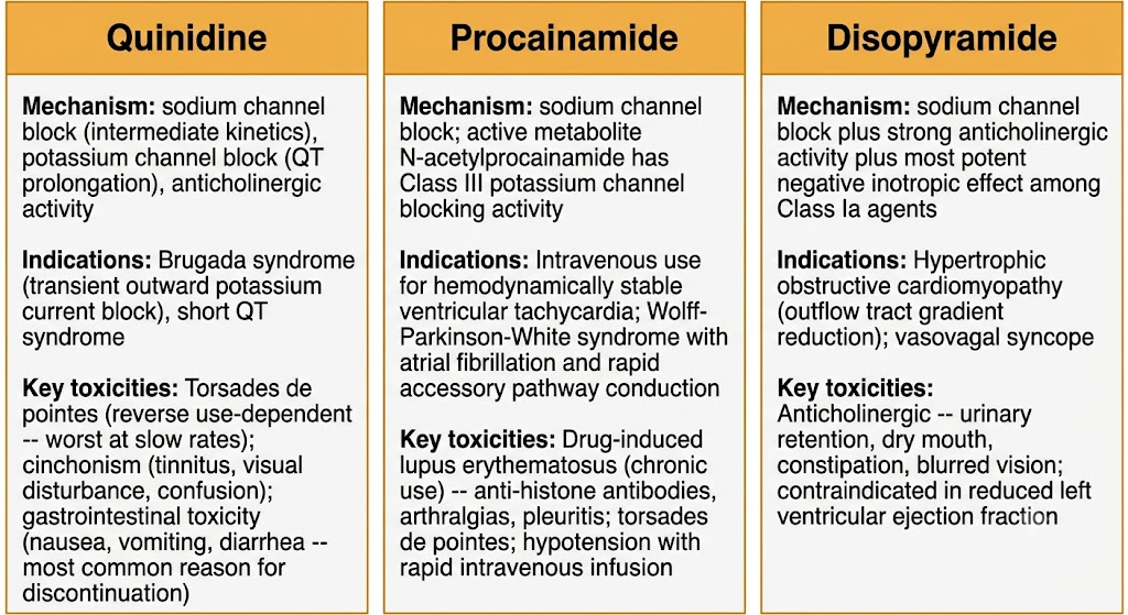 Three-panel comparison diagram showing the three Class Ia antiarrhythmic agents — quinidine, procainamide, and disopyramide — with mechanism, primary indications, and key toxicities for each drug.
