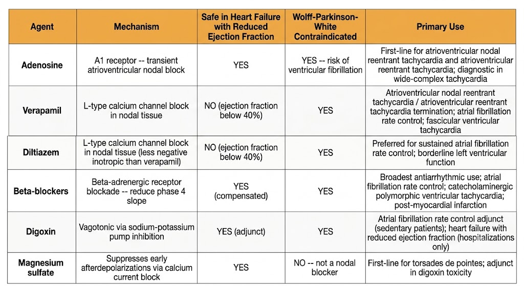 Reference table comparing six nodal-modulating agents — adenosine, verapamil, diltiazem, beta-blockers, digoxin, and magnesium sulfate — with columns for mechanism, safety in heart failure with reduced ejection fraction, Wolff-Parkinson-White contraindication status, and primary clinical use.