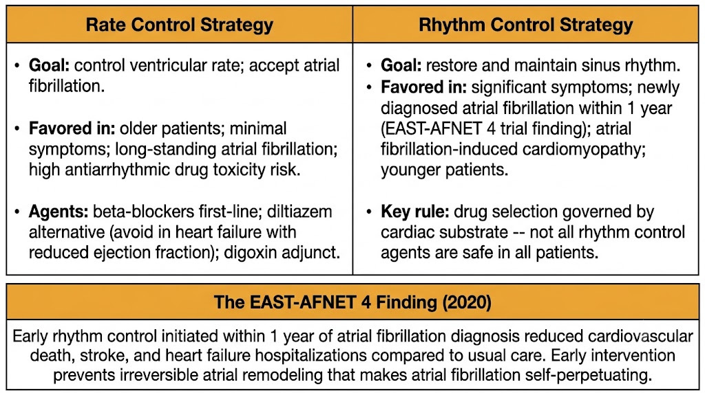 Two-panel comparison showing rate control strategy on the left with goal, favored populations, and agents, and rhythm control strategy on the right with goal, favored populations, and key rule, plus a shared EAST-AFNET 4 finding box at the bottom.