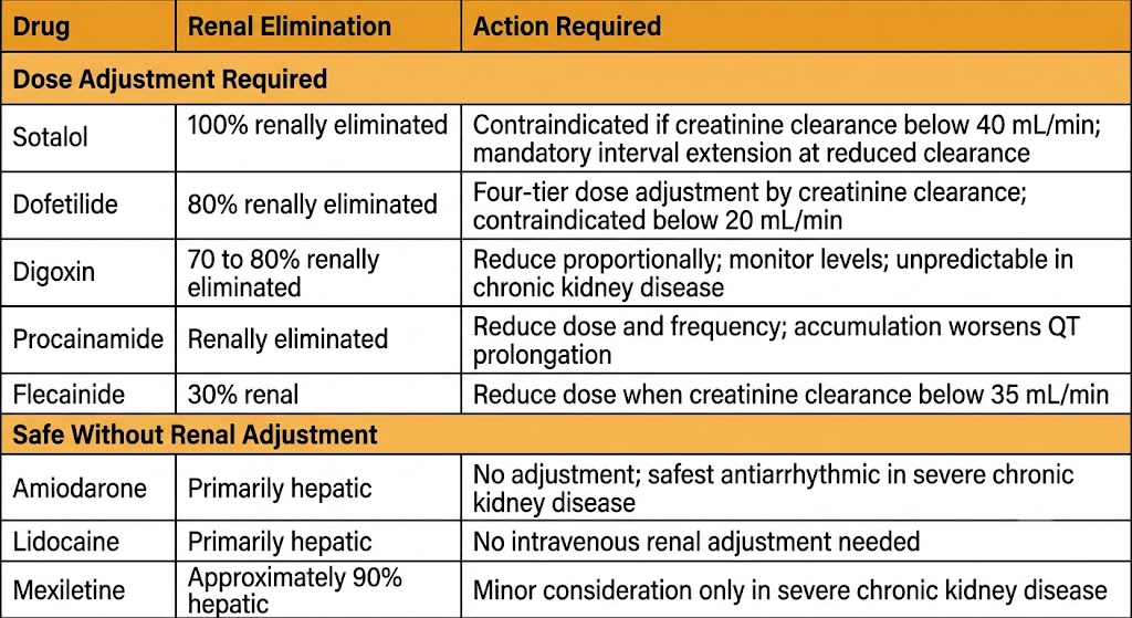 Three-column table comparing antiarrhythmic drugs in renal impairment with two sections: dose adjustment required covering sotalol, dofetilide, digoxin, procainamide, and flecainide, and safe without adjustment covering amiodarone, lidocaine, and mexiletine.