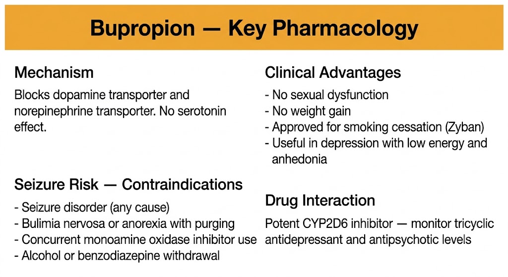 Four-section summary diagram of bupropion covering mechanism, clinical advantages, seizure risk contraindications, and cytochrome P450 2D6 drug interaction.