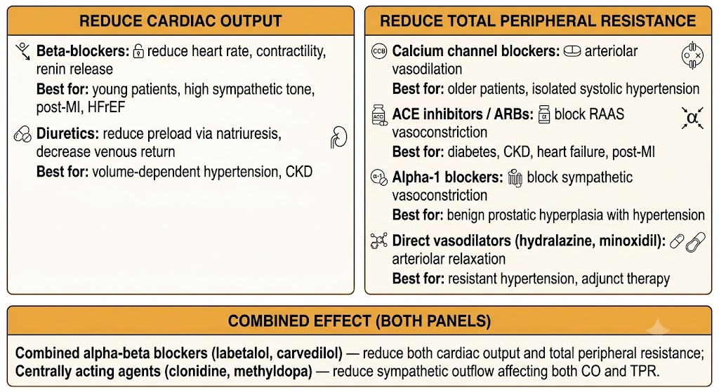 Two-panel diagram showing antihypertensive drug classes organized by hemodynamic target: left panel shows drugs that reduce cardiac output (beta-blockers, diuretics) and right panel shows drugs that reduce total peripheral resistance (calcium channel blockers, ACE inhibitors, ARBs, alpha-1 blockers, direct vasodilators), with a shared bottom panel for combined-effect agents.