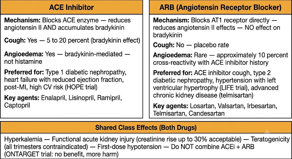 Two-panel comparison diagram showing ACE inhibitor versus ARB side by side, covering mechanism, cough, angioedema, preferred indications, and key agents, with a shared class effects box below covering hyperkalemia, functional acute kidney injury, teratogenicity, and the dual blockade warning.