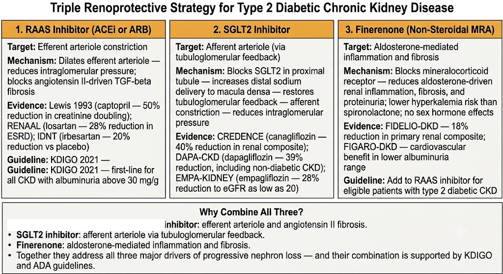 Three-panel diagram showing the triple renoprotective strategy for type 2 diabetic chronic kidney disease: RAAS inhibitor targeting efferent arteriole, SGLT2 inhibitor targeting afferent arteriole via tubuloglomerular feedback, and finerenone targeting aldosterone-mediated fibrosis, with a shared rationale box below.