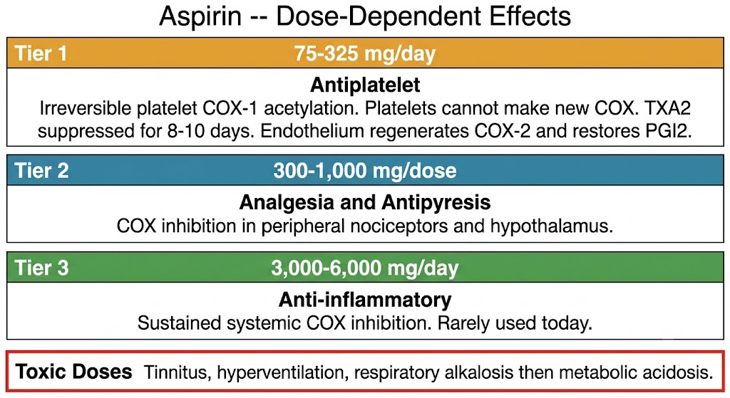 Three-tier aspirin dose-response diagram: Tier 1 (75-325 mg/day) shows antiplatelet effect via irreversible platelet COX-1 acetylation; Tier 2 (300-1000 mg/dose) shows analgesia and antipyresis; Tier 3 (3000-6000 mg/day) shows anti-inflammatory effect; toxic dose warning shows tinnitus, hyperventilation, and metabolic acidosis.