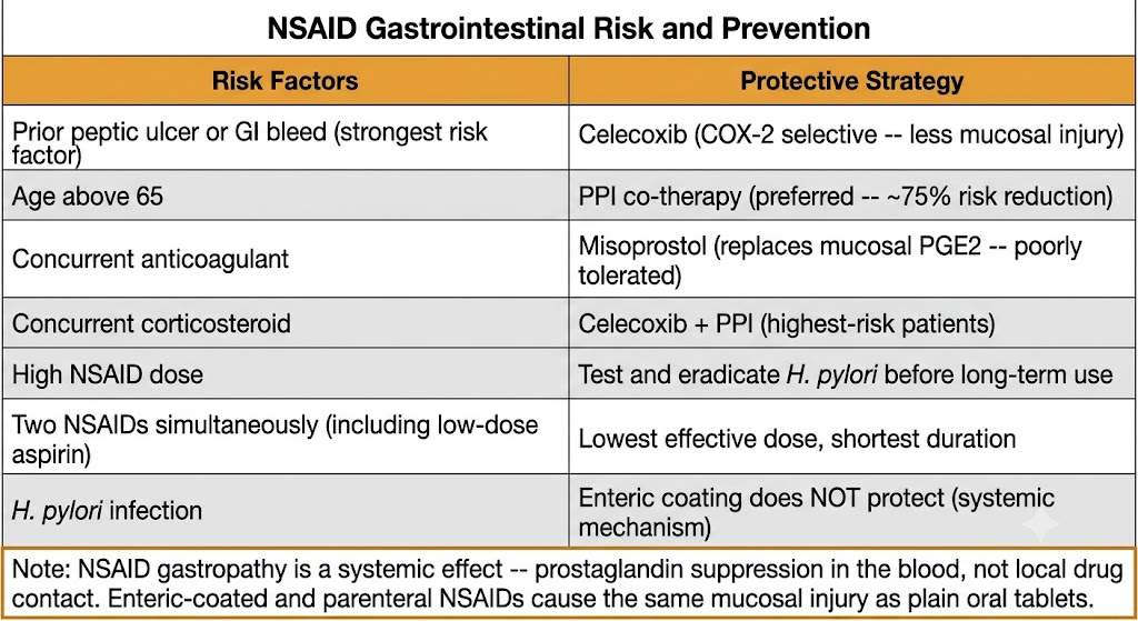 Two-column reference table: left column lists NSAID gastrointestinal risk factors including prior peptic ulcer or GI bleed, age above 65, concurrent anticoagulant, concurrent corticosteroid, high NSAID dose, two NSAIDs simultaneously including low-dose aspirin, and H. pylori infection; right column lists protective strategies including celecoxib, PPI co-therapy, misoprostol, H. pylori eradication, and lowest effective dose for shortest duration.