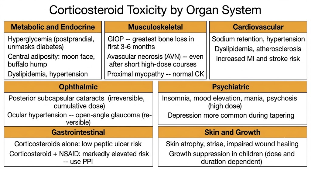 Seven-panel grid showing corticosteroid toxicity by organ system: Metabolic and Endocrine (hyperglycemia, central adiposity, dyslipidemia); Musculoskeletal (GIOP with greatest bone loss in first 3-6 months, AVN even after short high-dose courses, proximal myopathy with normal CK); Cardiovascular (sodium retention, hypertension, dyslipidemia, atherosclerosis, increased MI and stroke risk); Ophthalmic (posterior subcapsular cataracts irreversible, ocular hypertension and glaucoma reversible); Psychiatric (insomnia, mania, psychosis at high dose, depression during tapering); Gastrointestinal (low risk alone, markedly elevated with NSAIDs requiring PPI); Skin and Growth (atrophy, striae, impaired wound healing, growth suppression in children).