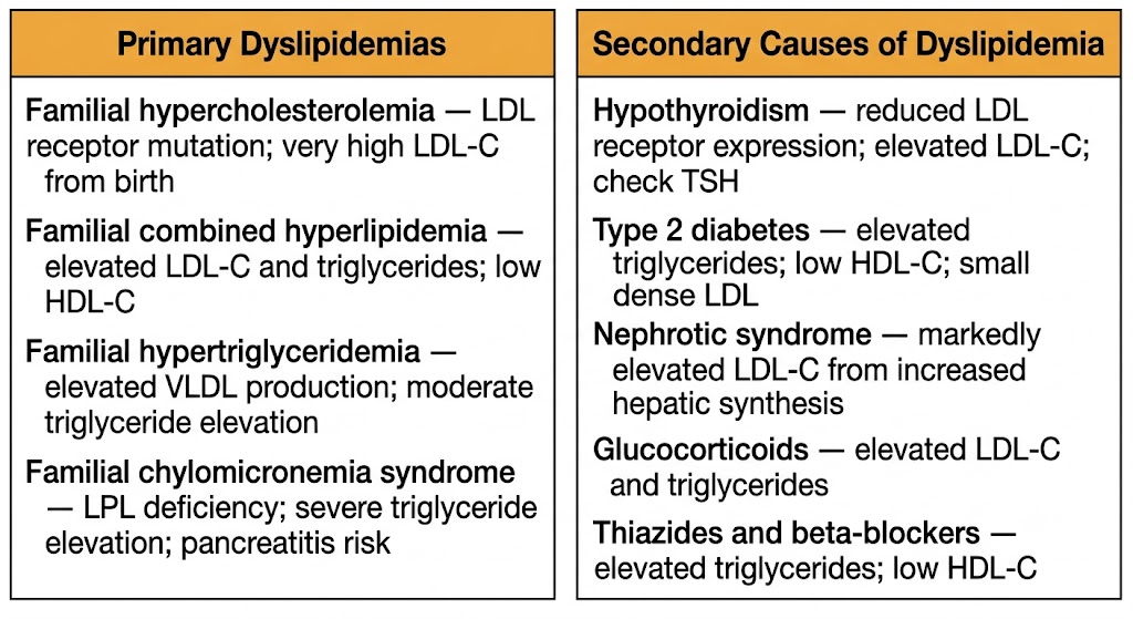Two-panel reference diagram showing primary dyslipidemias on the left including familial hypercholesterolemia, familial combined hyperlipidemia, familial hypertriglyceridemia, and familial chylomicronemia syndrome, and secondary causes of dyslipidemia on the right including hypothyroidism, type 2 diabetes, nephrotic syndrome, glucocorticoids, and thiazides and beta-blockers.