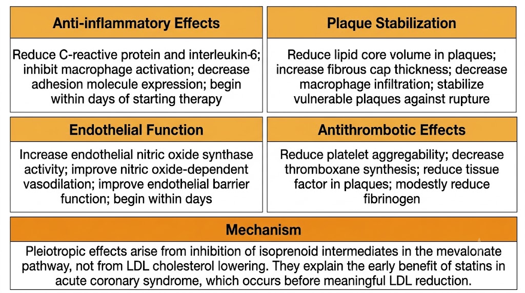 Four-panel diagram showing statin pleiotropic effects by biological system: anti-inflammatory effects reducing C-reactive protein and cytokines, plaque stabilization increasing fibrous cap thickness and reducing lipid core, improved endothelial function via nitric oxide synthase, and antithrombotic effects reducing platelet aggregability, with a shared mechanism note explaining origin in isoprenoid intermediate inhibition.