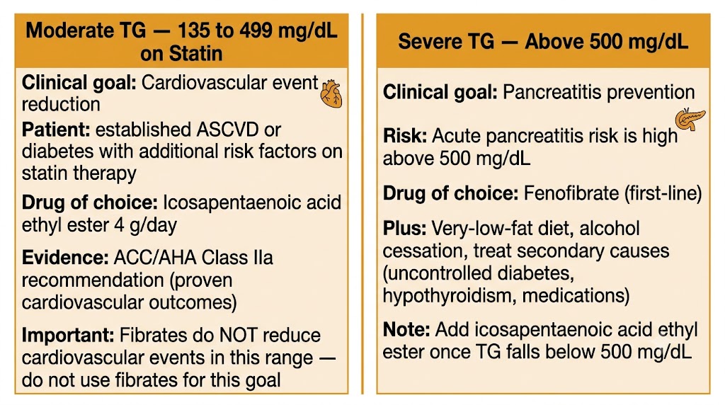 Two-panel triglyceride stratification diagram showing moderate TG 135 to 499 mg/dL on statin on the left (clinical goal cardiovascular event reduction, drug of choice icosapentaenoic acid ethyl ester 4 g/day, ACC/AHA Class IIa, fibrates do not reduce cardiovascular events in this range) and severe TG above 500 mg/dL on the right (clinical goal pancreatitis prevention, drug of choice fenofibrate first-line, plus very-low-fat diet and treat secondary causes including uncontrolled diabetes, hypothyroidism, and medications, add icosapentaenoic acid ethyl ester once TG falls below 500 mg/dL).