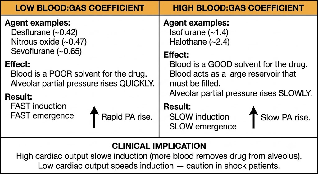 Two-panel diagram comparing low and high blood:gas partition coefficients, showing that low coefficients produce fast induction and emergence while high coefficients produce slow induction and emergence, with a clinical implication box noting cardiac output effects.