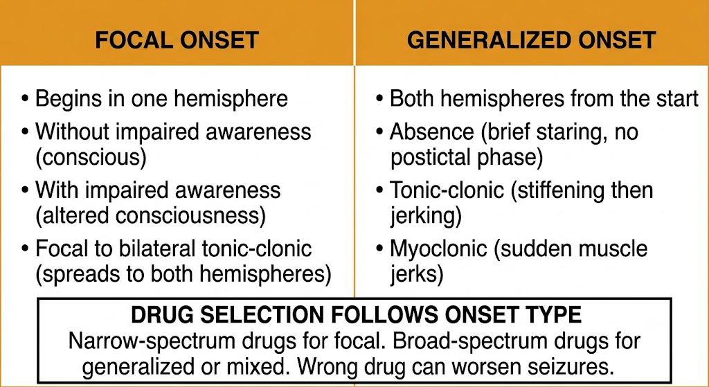 Two-panel diagram comparing focal onset seizures (begins in one hemisphere, with or without impaired awareness, can spread bilaterally) and generalized onset seizures (both hemispheres simultaneously, including absence, tonic-clonic, and myoclonic types), with a shared note that drug selection follows onset type.
