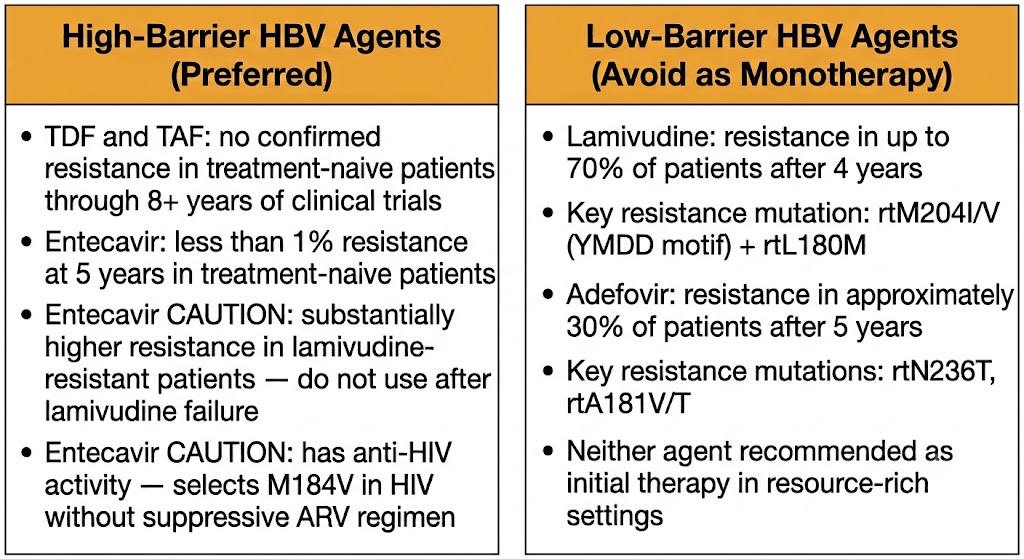 HBV antiviral resistance barriers — high versus low barrier agents