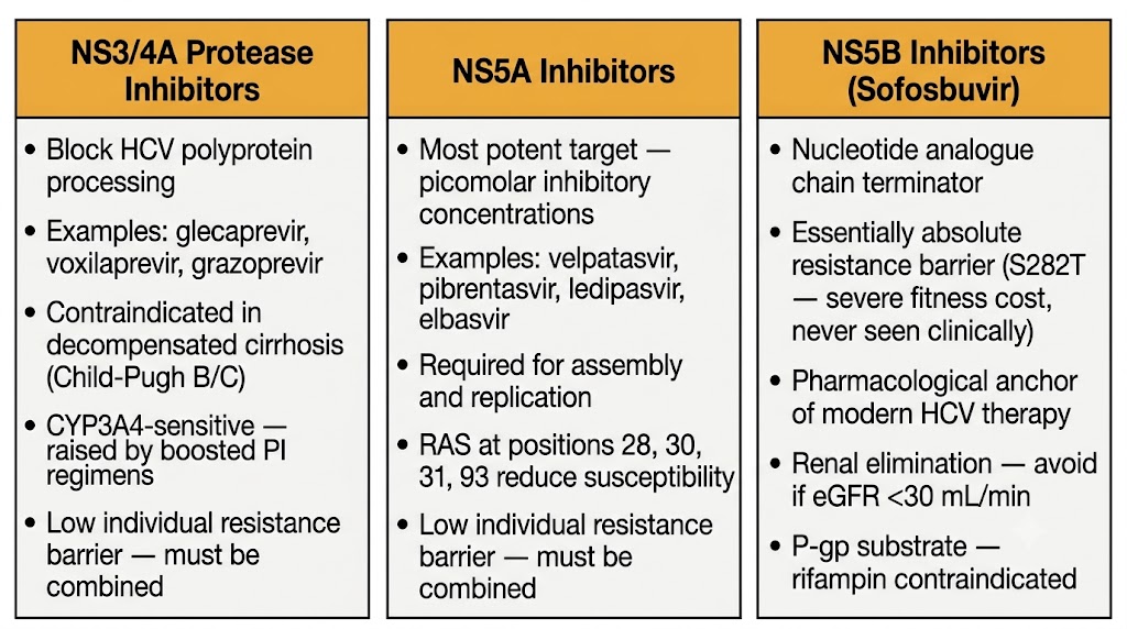 HCV direct-acting antiviral drug class targets — NS3/4A, NS5A, NS5B