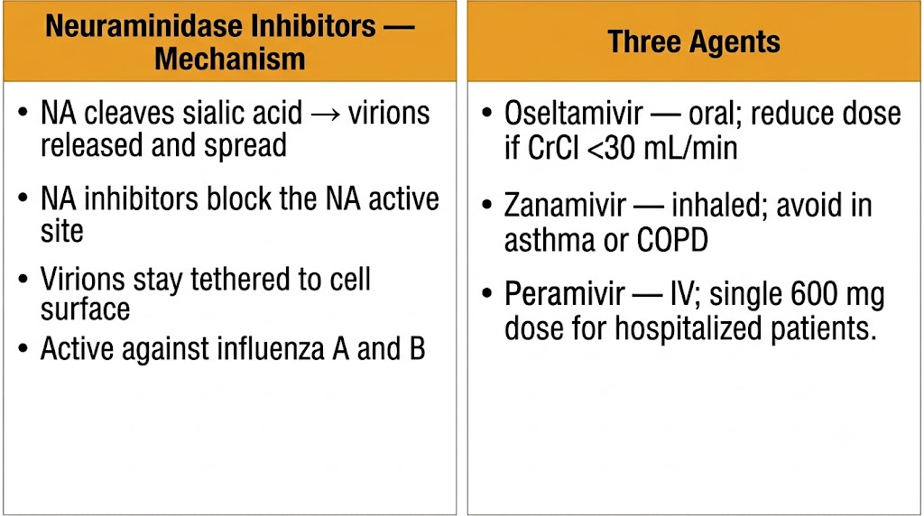 Neuraminidase inhibitor mechanism and three agents comparison