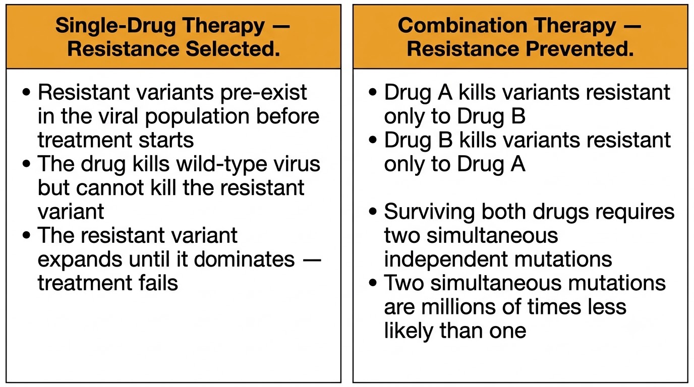 Single-drug therapy selects resistance versus combination therapy prevents resistance