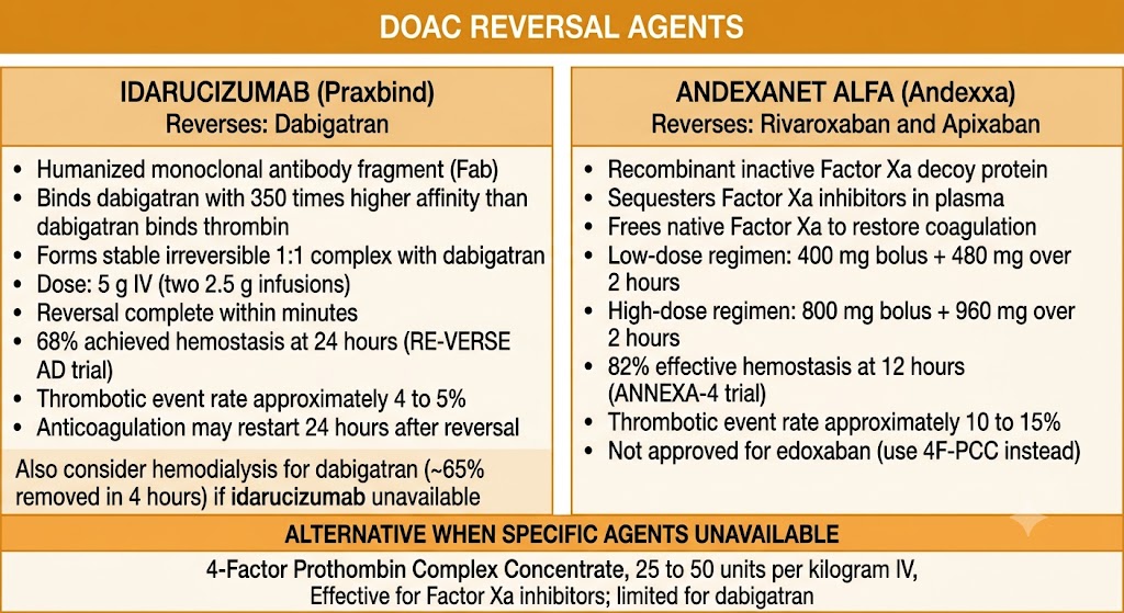 Two-panel comparison of direct oral anticoagulant reversal agents. Left panel shows idarucizumab (Praxbind) for dabigatran reversal: humanized monoclonal antibody fragment binding dabigatran with 350 times higher affinity than thrombin, dosed as 5 g intravenously, reversing anticoagulation within minutes, with 68% hemostasis at 24 hours and 4 to 5% thrombotic event rate. Right panel shows andexanet alfa (Andexxa) for rivaroxaban and apixaban reversal: recombinant inactive factor Xa decoy sequestering factor Xa inhibitors, with low-dose and high-dose regimens, 82% effective hemostasis at 12 hours, and 10 to 15% thrombotic event rate. A shared bottom box identifies four-factor prothrombin complex concentrate 25 to 50 units per kilogram as the alternative when specific agents are unavailable.