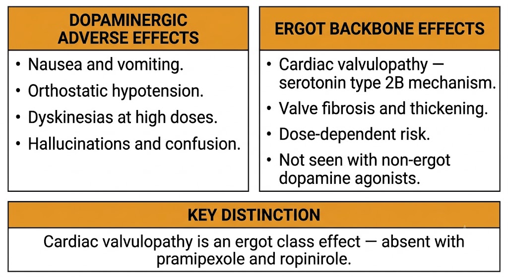 Two-panel diagram showing bromocriptine adverse effects divided into dopaminergic effects on the left and ergot backbone cardiac valvulopathy on the right.
