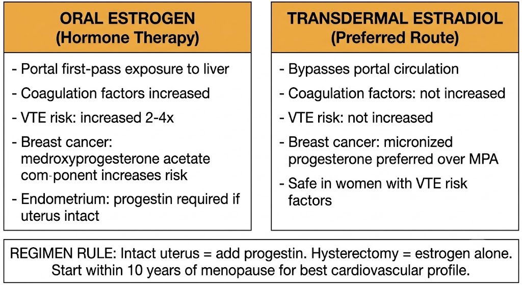 Two-panel diagram comparing oral estrogen hormone therapy (portal first-pass, VTE risk increased 2-4x, medroxyprogesterone acetate increases breast cancer risk, progestin required with intact uterus) versus transdermal estradiol (bypasses portal, VTE risk not increased, micronized progesterone preferred, safe with VTE risk factors) with shared regimen rule box.