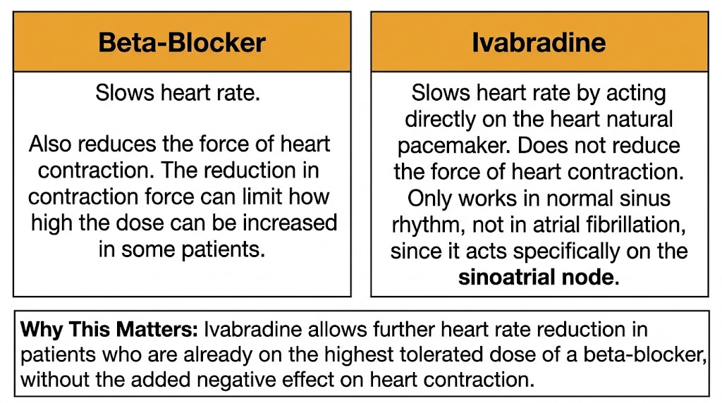 A two-panel diagram contrasting beta-blockers, which slow heart rate and also reduce contraction force, with ivabradine, which slows heart rate by acting on the sinoatrial node without affecting contraction force.