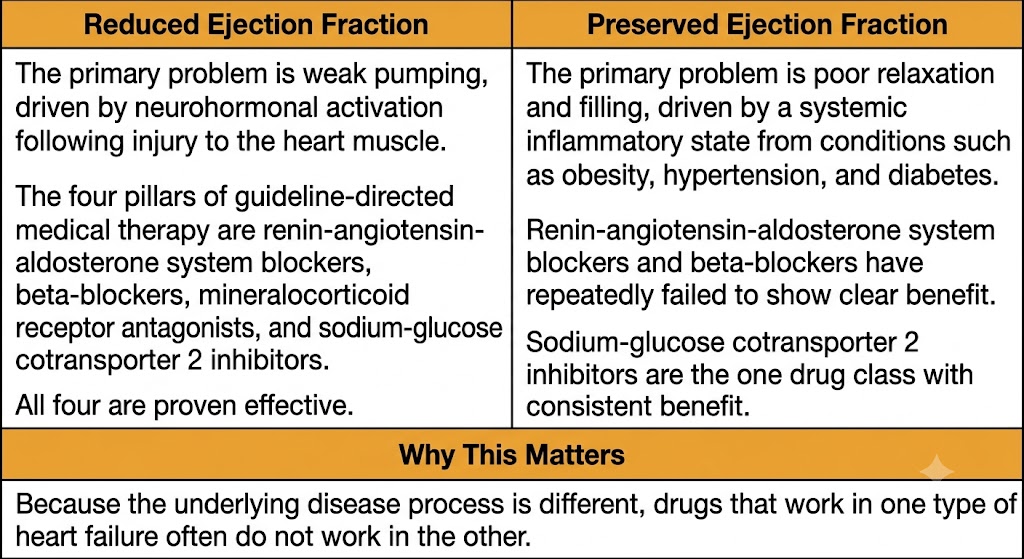 A two-panel diagram contrasting heart failure with reduced ejection fraction, a pumping problem responsive to the four pillars of therapy, with heart failure with preserved ejection fraction, a relaxation and filling problem driven by systemic inflammation where most of those same drugs have failed.