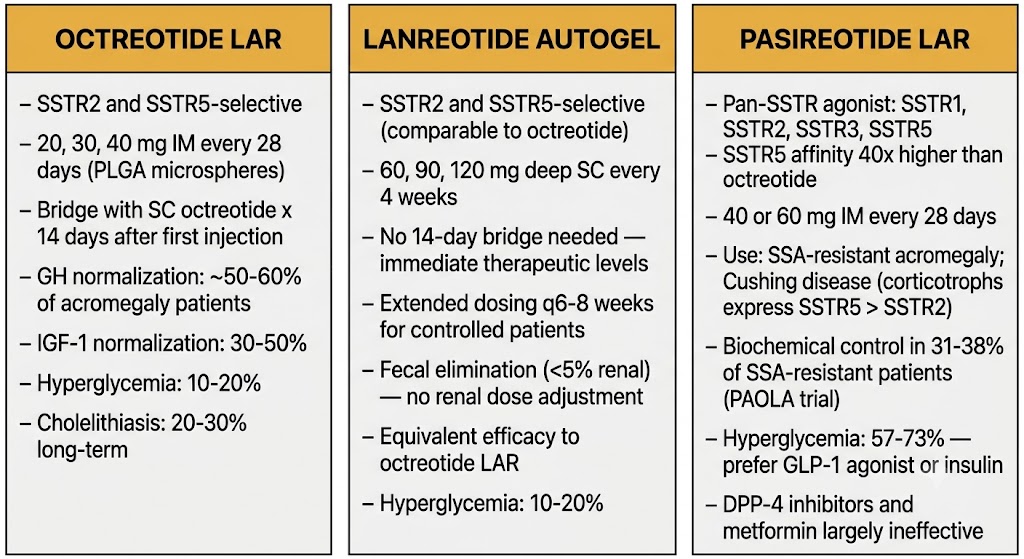 Three-panel comparison of octreotide LAR, lanreotide Autogel, and pasireotide LAR showing receptor selectivity, depot formulations, efficacy rates, and hyperglycemia risk.