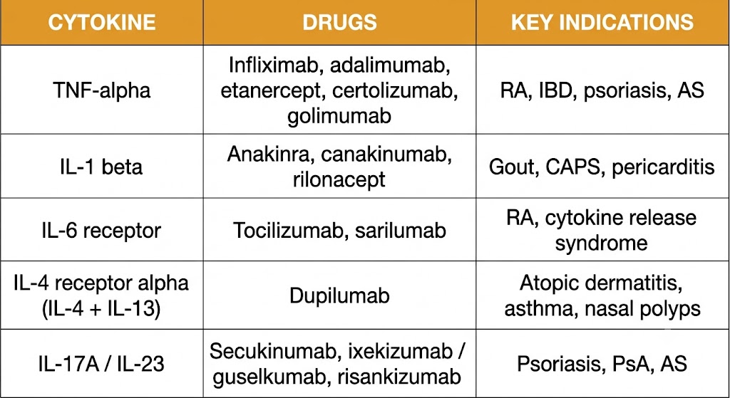 Reference table mapping five major cytokine targets to their corresponding biologic drug classes and primary clinical indications, including TNF-alpha inhibitors, IL-1 beta antagonists, IL-6 receptor inhibitors, dupilumab, and IL-17A and IL-23 inhibitors.