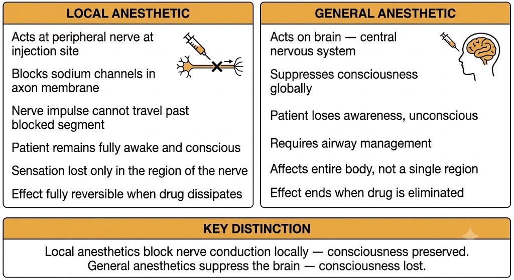 Two-panel diagram comparing local anesthetic acting at a peripheral nerve with patient awake versus general anesthetic acting on the brain with patient unconscious, with a shared Key Distinction box below.