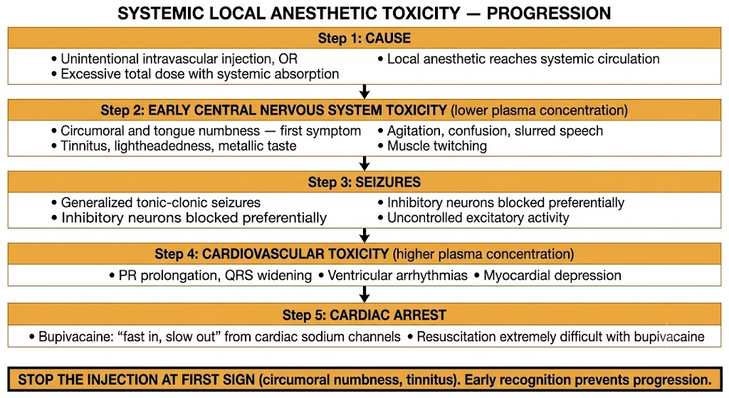 Flow diagram showing five-step progression of systemic local anesthetic toxicity from cause through early central nervous system symptoms, seizures, cardiovascular toxicity, and cardiac arrest, with a warning box to stop injection at first sign.