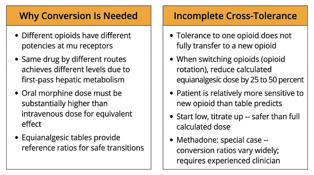 Two-panel diagram explaining equianalgesic dosing concepts: why conversion between opioids and routes is needed due to different potencies and first-pass metabolism, and the principle of incomplete cross-tolerance requiring dose reduction of 25 to 50 percent when rotating opioids.