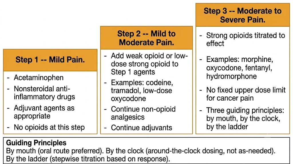 Stepped ladder diagram showing the World Health Organization three-step analgesic ladder: Step 1 mild pain with non-opioids, Step 2 mild to moderate pain adding weak opioids, Step 3 moderate to severe pain with strong opioids, and a guiding principles box showing by mouth, by the clock, and by the ladder.