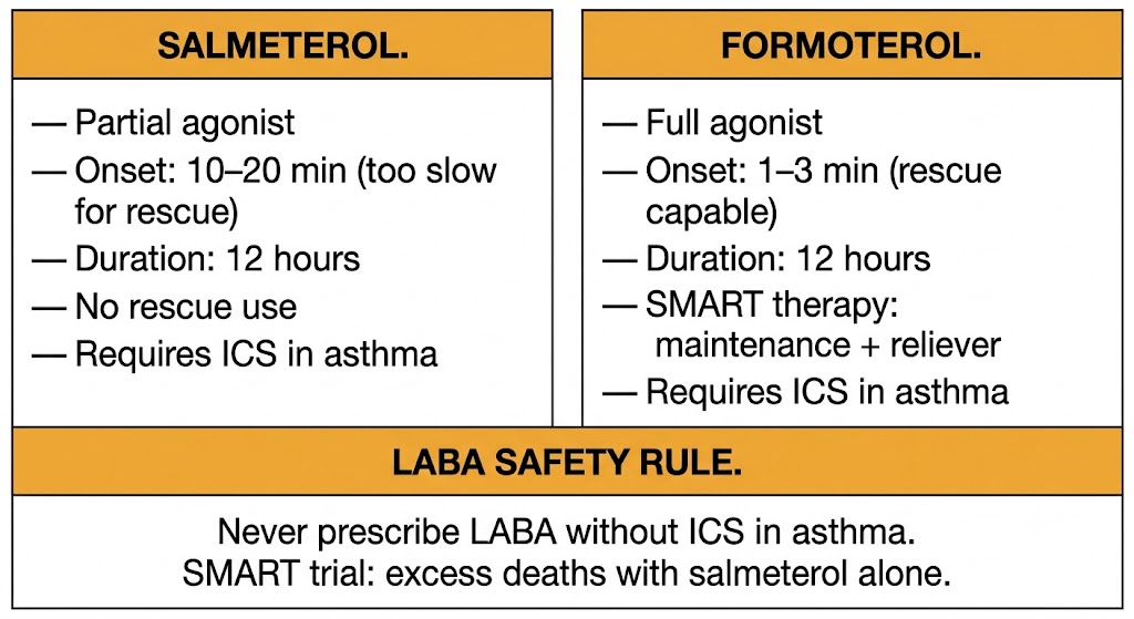 Two-panel comparison of salmeterol versus formoterol showing key differences: salmeterol is a partial agonist with 10-20 minute onset and no rescue use; formoterol is a full agonist with 1-3 minute onset suitable for SMART therapy. Shared lower box states the LABA safety rule requiring ICS co-administration in asthma.