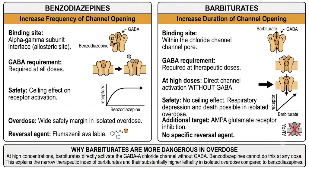 Two-panel diagram comparing benzodiazepine and barbiturate mechanisms at the GABA-A receptor with emphasis on the barbiturate ceiling effect difference.