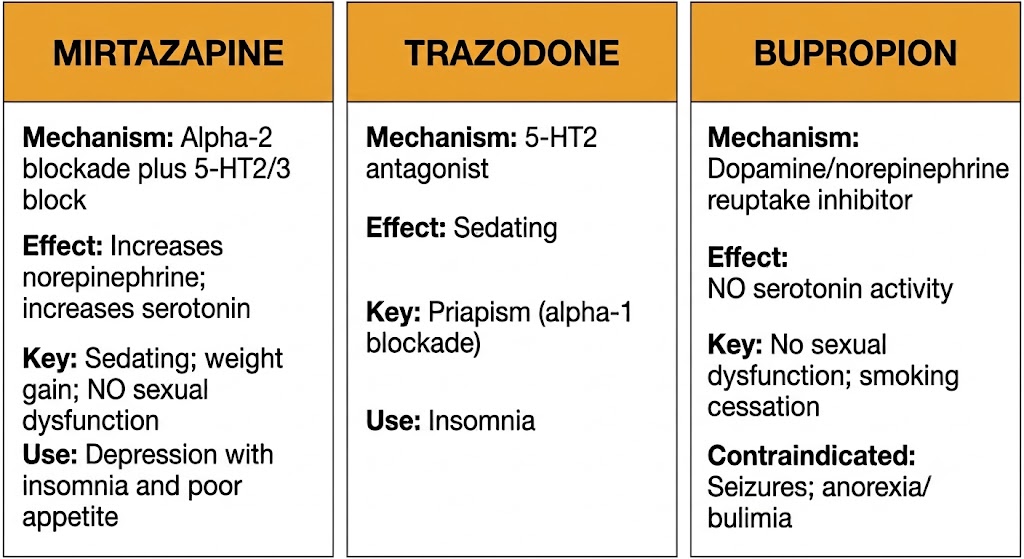 Three-panel comparison of mirtazapine, trazodone, and bupropion showing mechanism, effect, key properties, and contraindications for each drug.