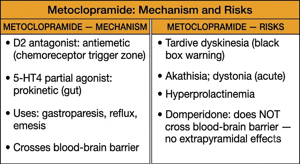 Two-panel diagram showing metoclopramide dual mechanism as D2 antagonist and 5-HT4 partial agonist on the left, and risks including tardive dyskinesia black box warning on the right, with domperidone contrast.
