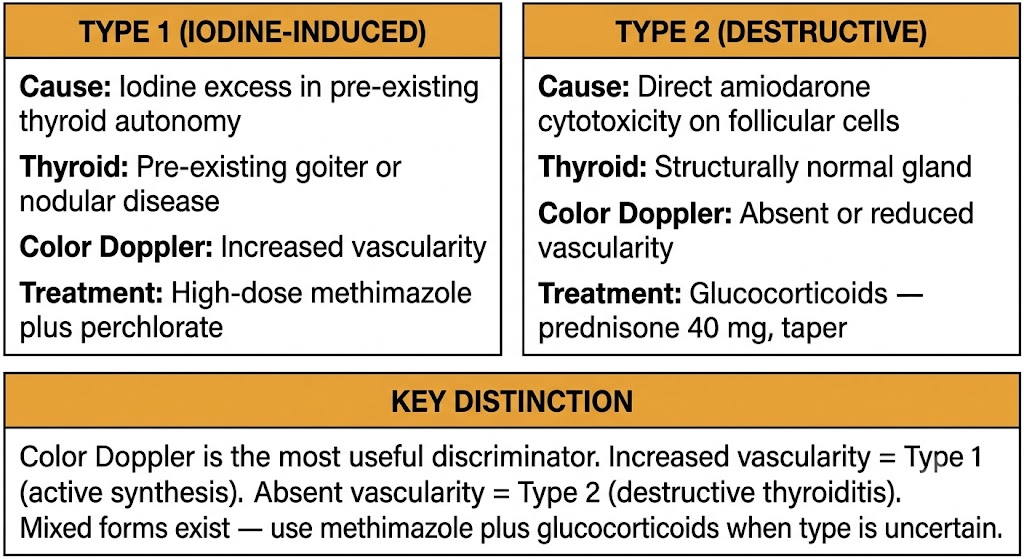 Two-panel comparison of amiodarone-induced thyrotoxicosis type 1 versus type 2 showing pathophysiology and treatment