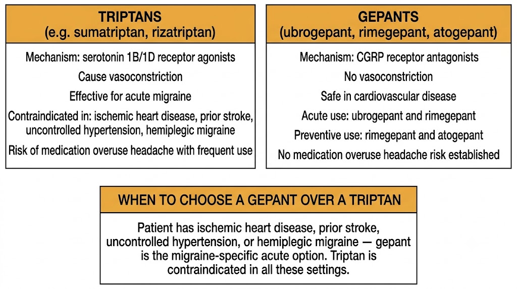 Two-panel comparison of triptans versus gepants for migraine treatment. Left panel shows triptans act as serotonin 1B/1D receptor agonists causing vasoconstriction, effective for acute migraine but contraindicated in ischemic heart disease, prior stroke, uncontrolled hypertension, and hemiplegic migraine, with medication overuse headache risk. Right panel shows gepants act as calcitonin gene-related peptide receptor antagonists with no vasoconstriction, safe in cardiovascular disease, with ubrogepant and rimegepant for acute use and rimegepant and atogepant for preventive use, and no medication overuse headache risk established. Shared panel below states the clinical decision rule: choose gepant when triptan is contraindicated due to cardiovascular comorbidities.